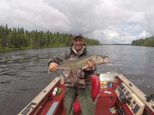 Walleye