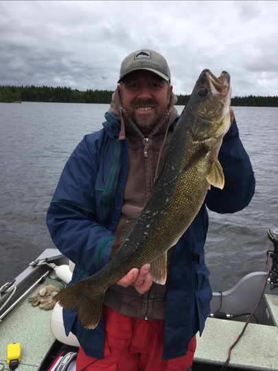 Walleye