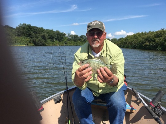 Black Crappie