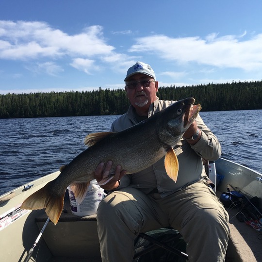 Lake Trout