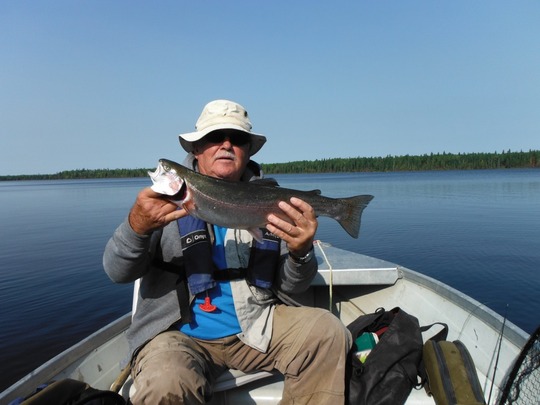 Rainbow Trout