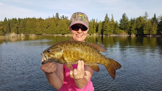Smallmouth Bass