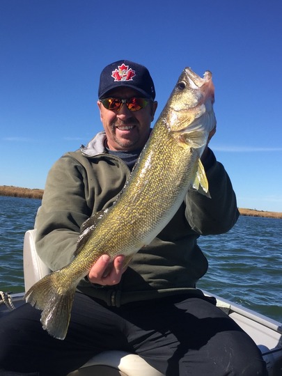 Walleye