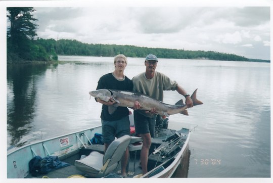 Lake Sturgeon