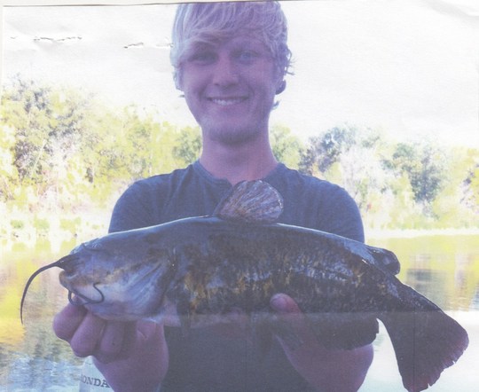 Bullhead