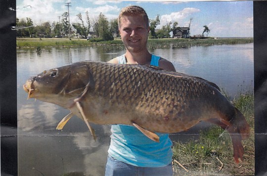 Common Carp