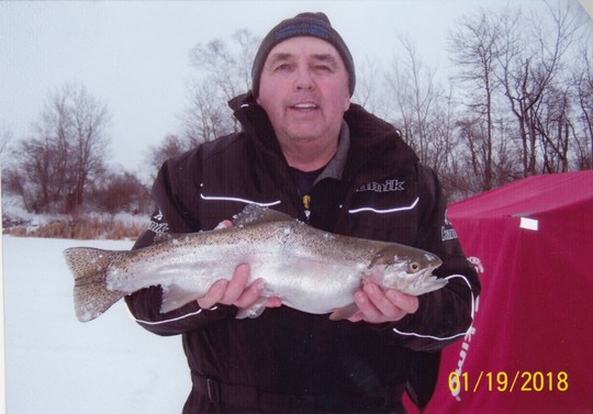 Rainbow Trout