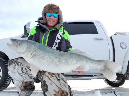 Walleye