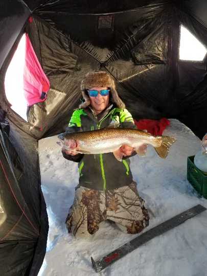 Rainbow Trout