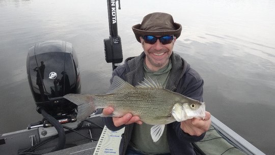White Bass
