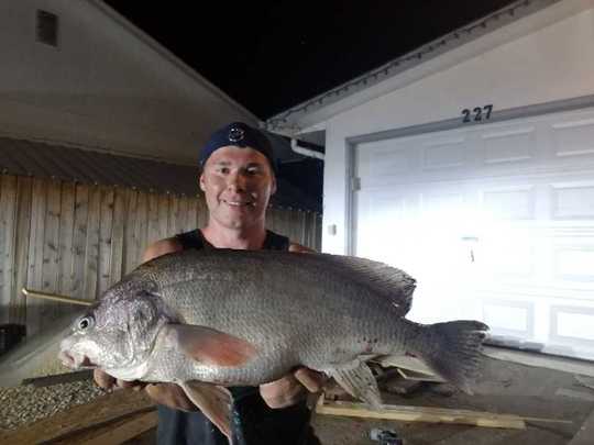 Freshwater Drum