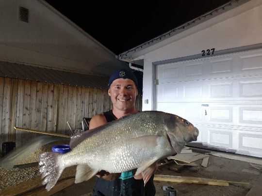 Freshwater Drum