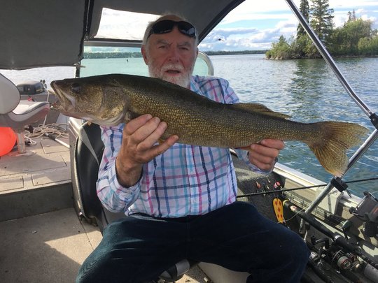 Walleye