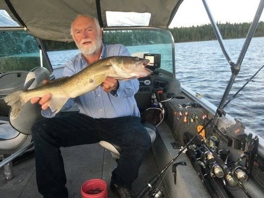 Walleye