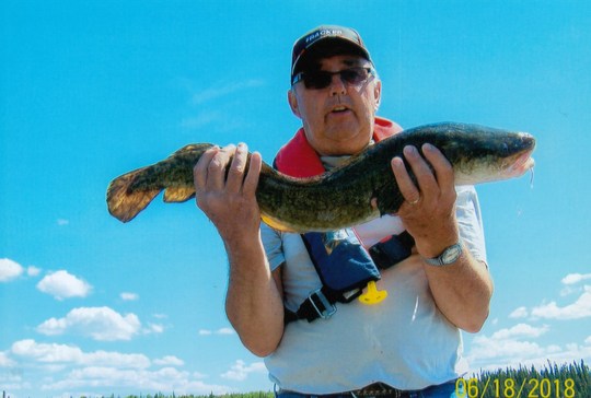 Burbot