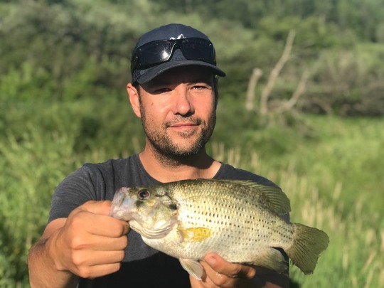 Rock Bass
