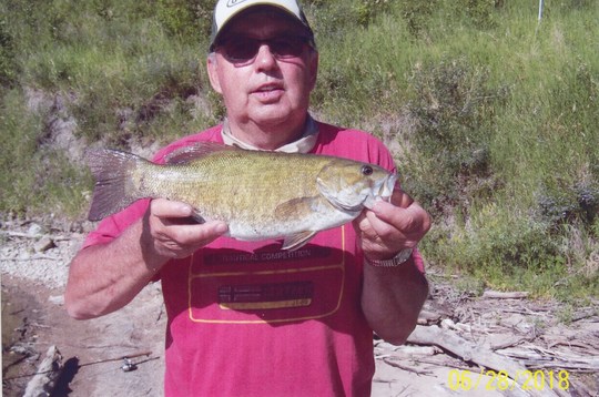Smallmouth Bass