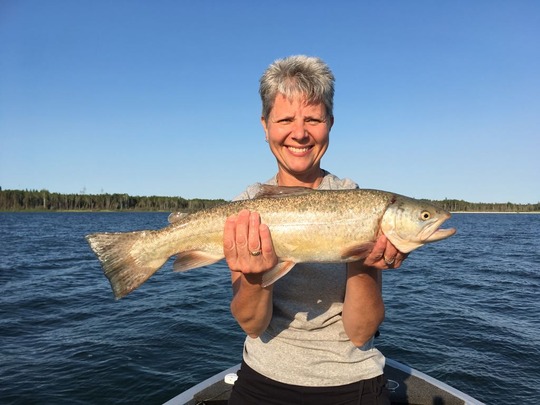 Tiger Trout