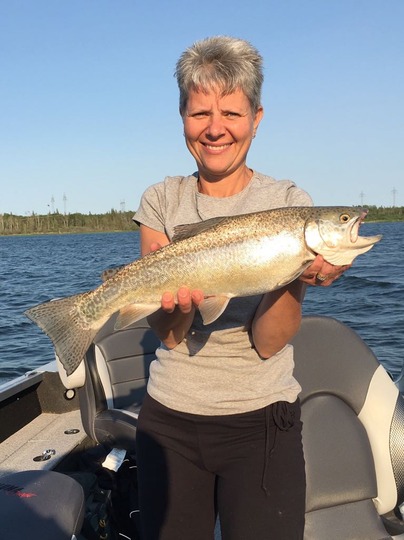 Tiger Trout