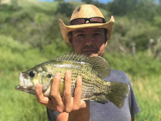 Rock Bass