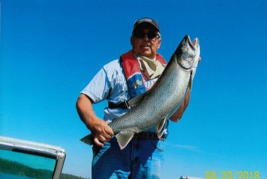 Lake Trout