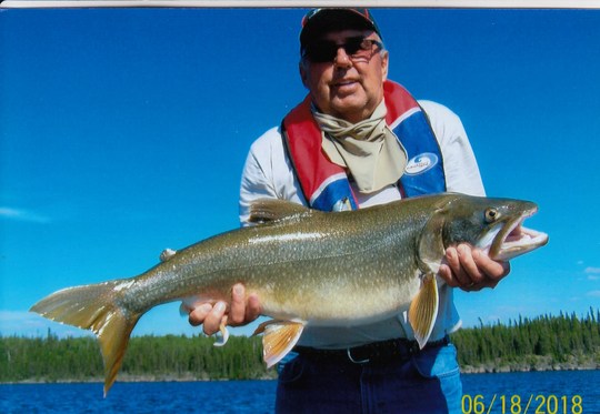 Lake Trout