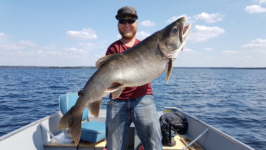 Lake Trout