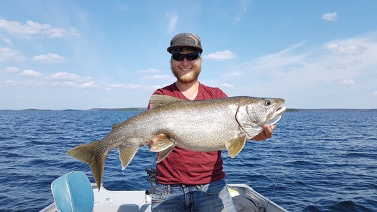Lake Trout