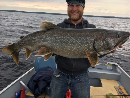 Lake Trout