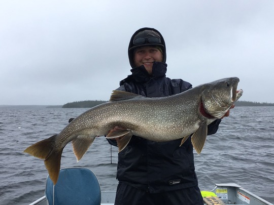 Lake Trout