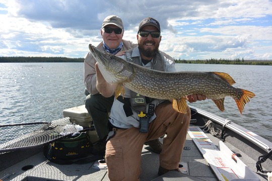 Northern Pike