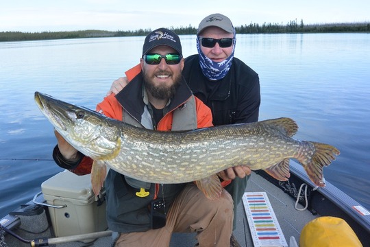 Northern Pike