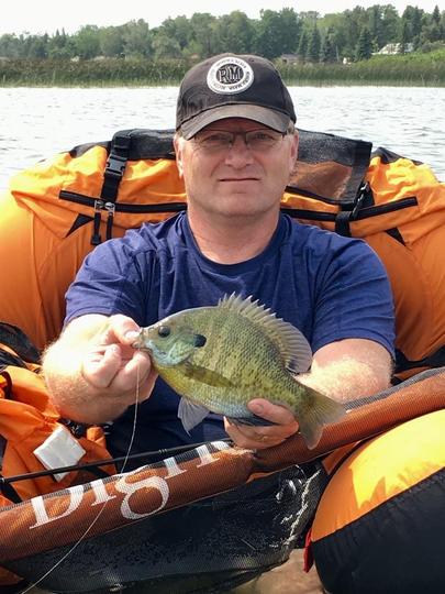 Sunfish