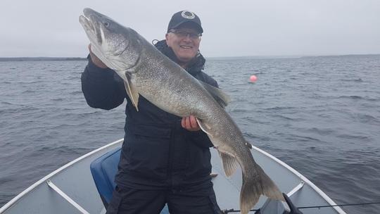Lake Trout