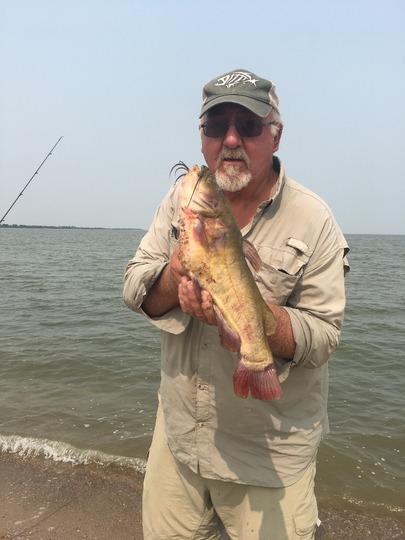 Bullhead