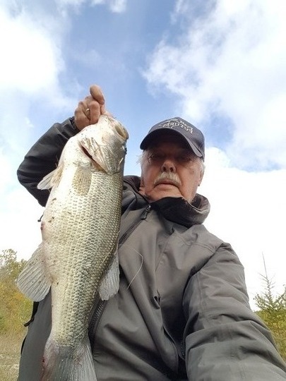 Largemouth Bass