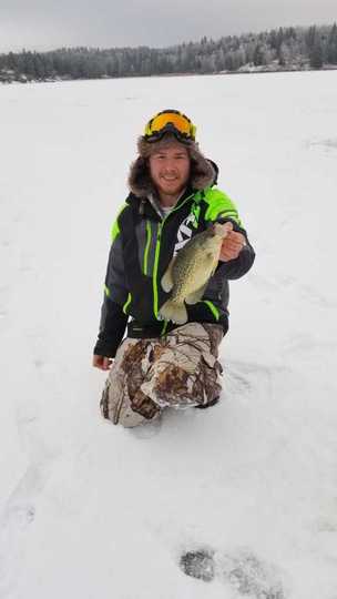 Black Crappie