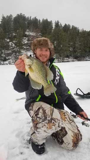 Black Crappie