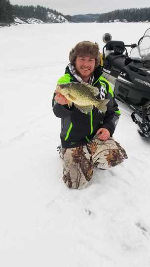 Black Crappie