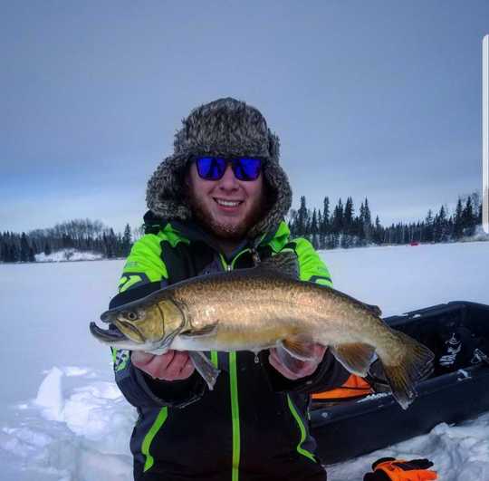 Tiger Trout