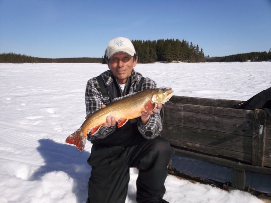 Arctic Char