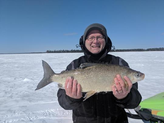 Lake Whitefish