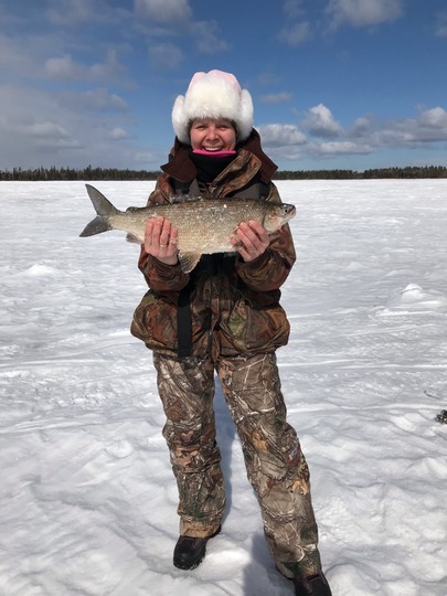 Lake Whitefish