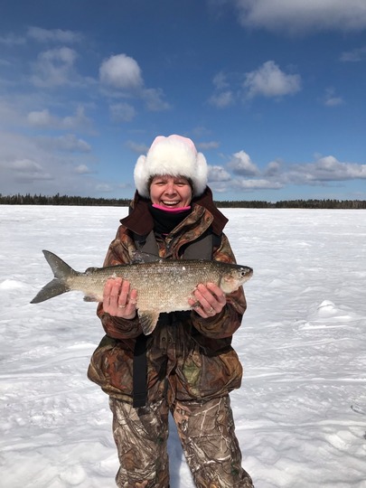 Lake Whitefish