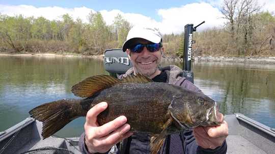 Smallmouth Bass