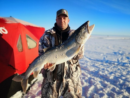 Lake Trout