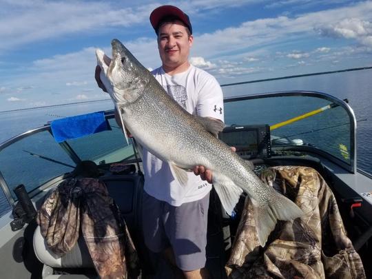 Lake Trout