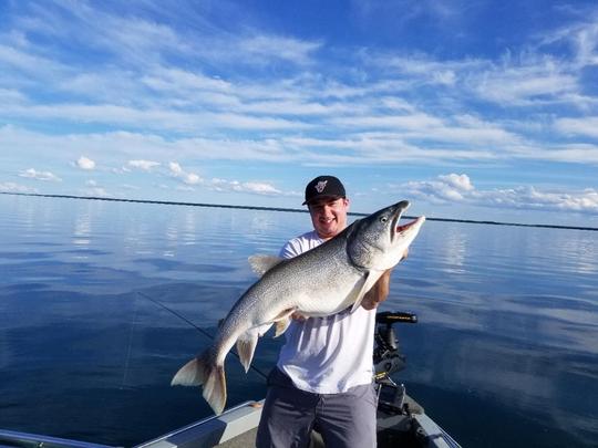 Lake Trout