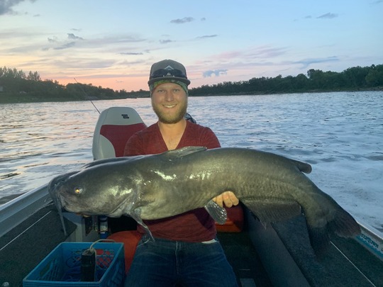Channel Catfish