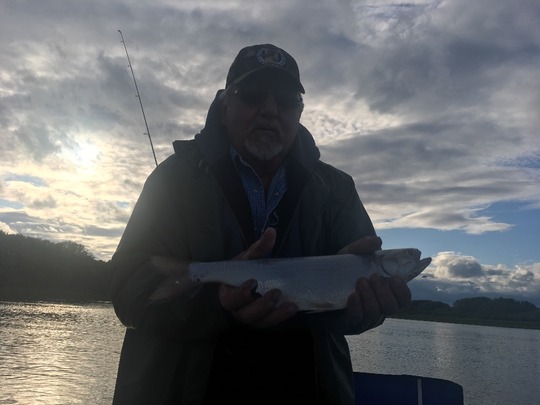 Goldeye